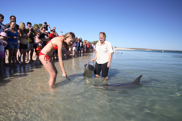 Best spots western australia