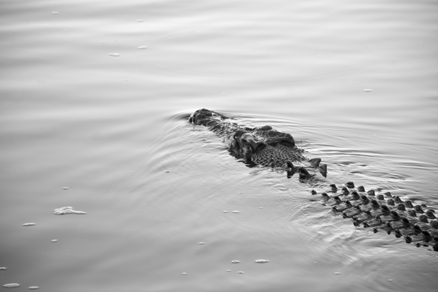 Kakadu-National-Park-2