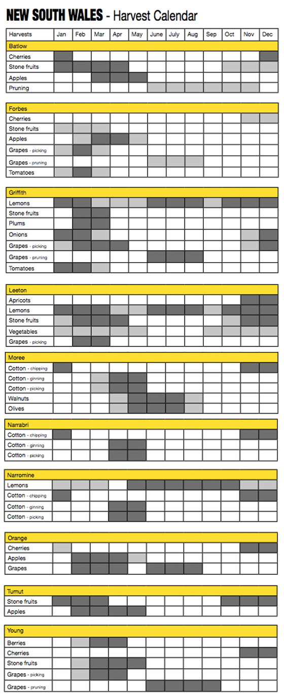 Fruit Harvest Chart