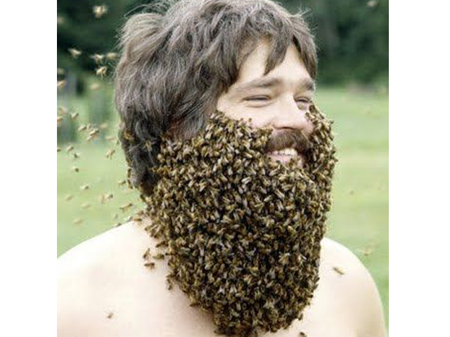 4_Beard in Australia