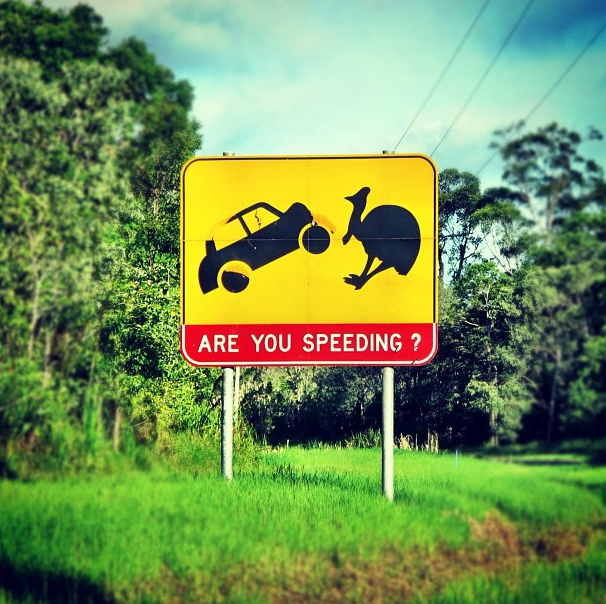 20 good reasons for not coming to australia