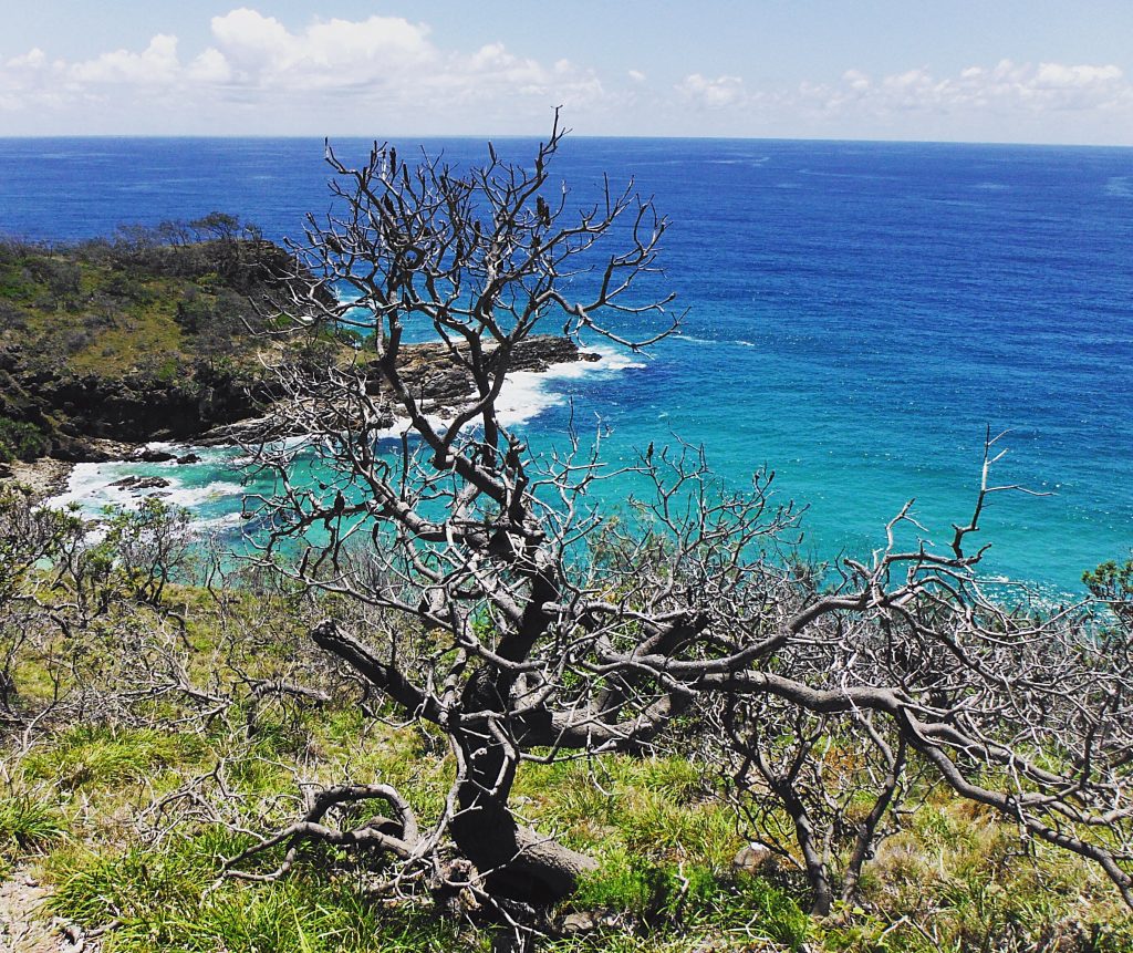 Noosa