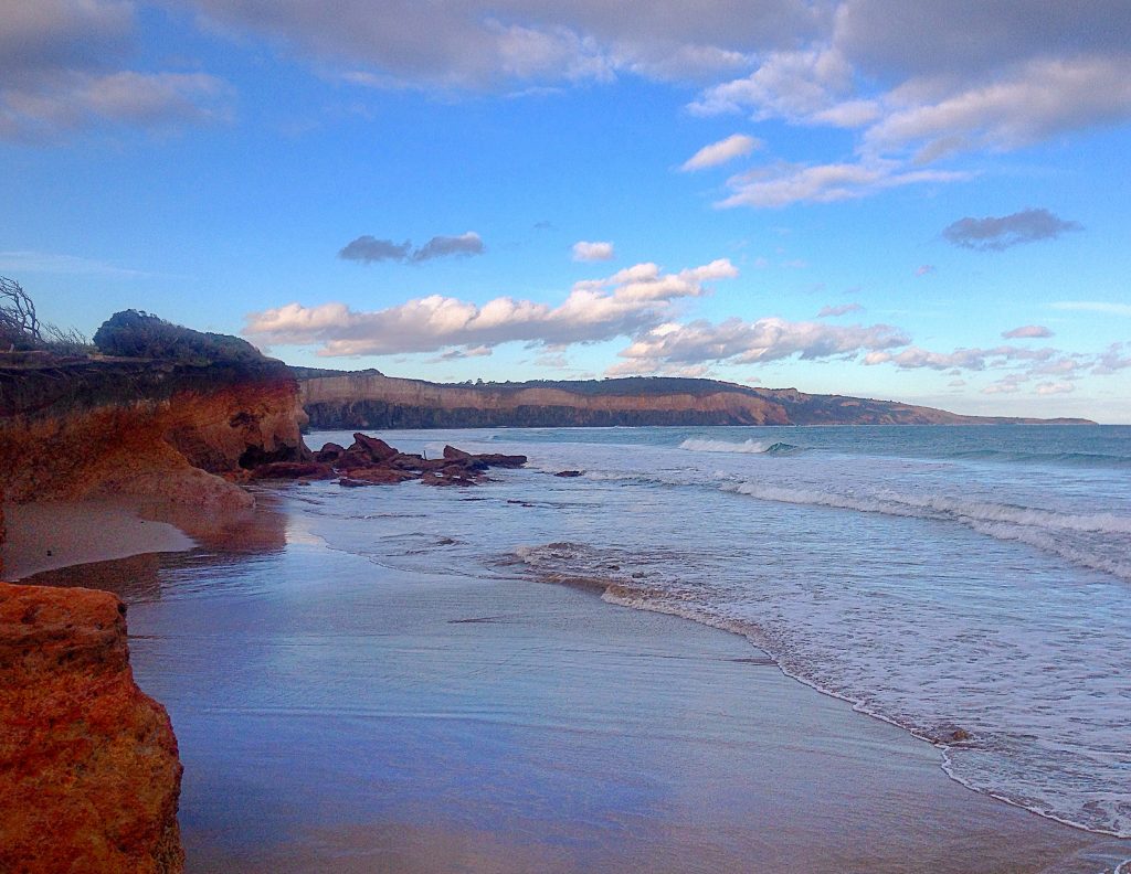 Anglesea Great Ocean Road Must Sees