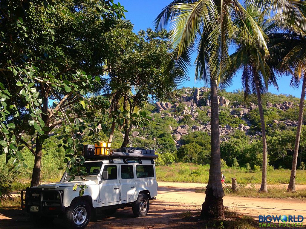 landie-under-palms