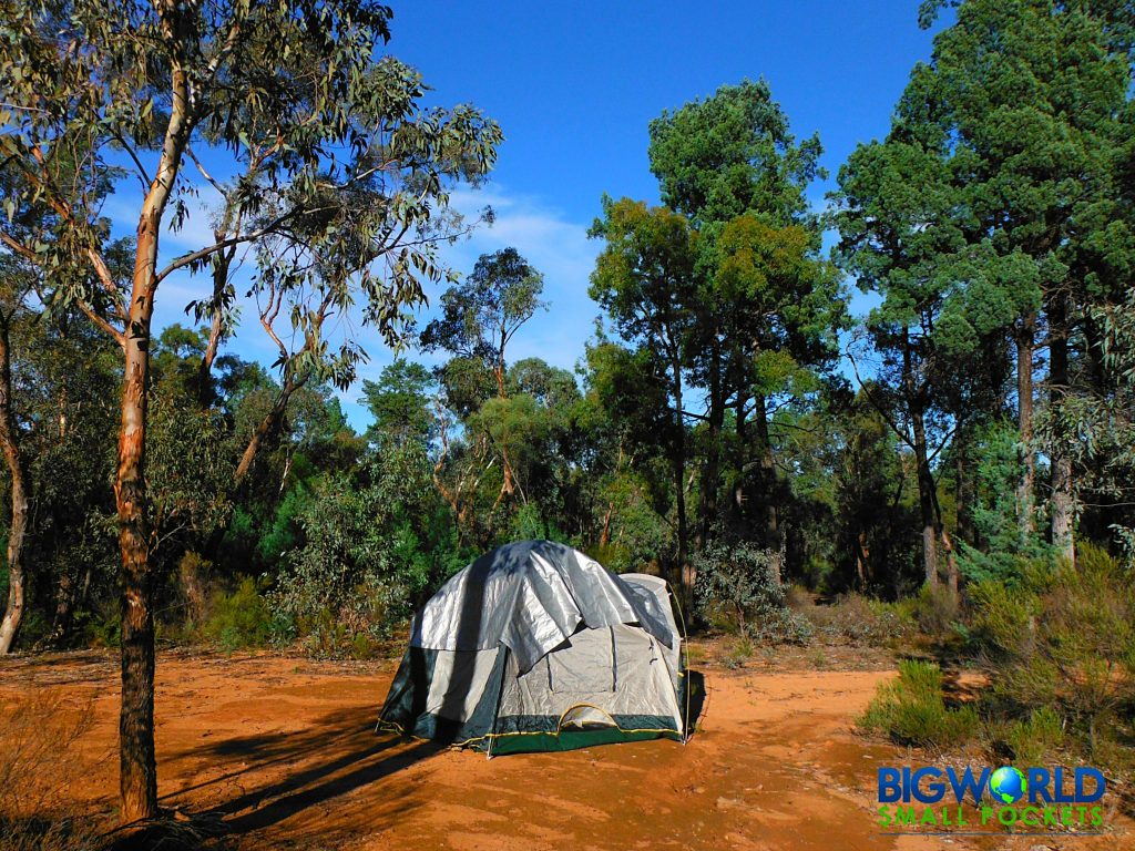 tent-in-the-woods