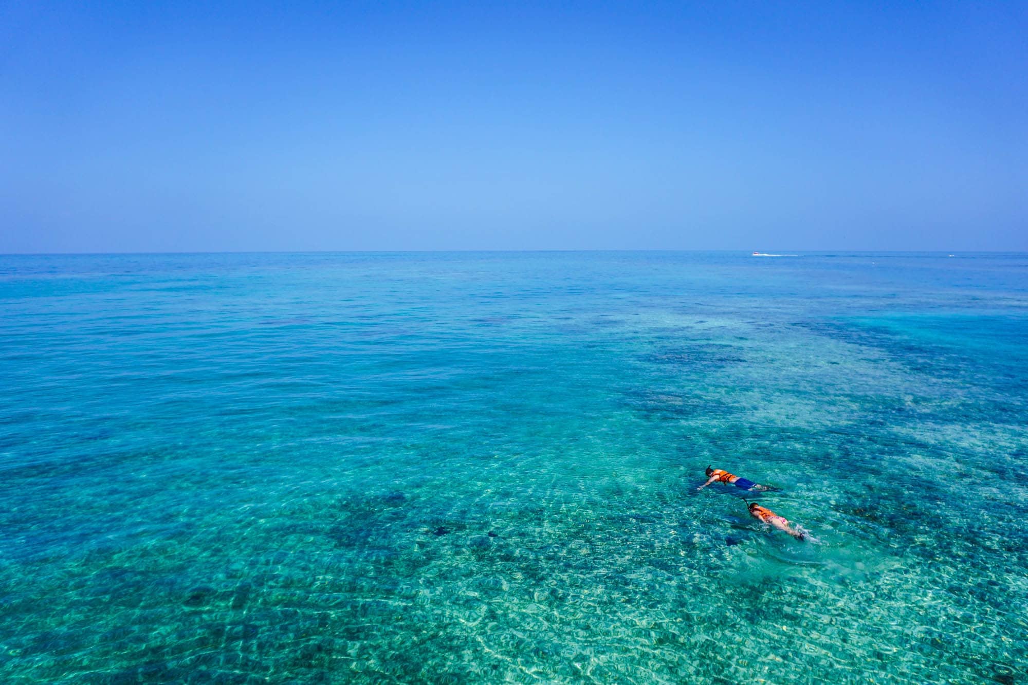 Great barrier reef tours 1