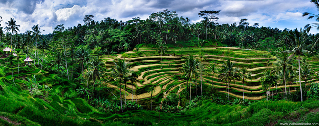 travel in Asia and the Pacific Bali