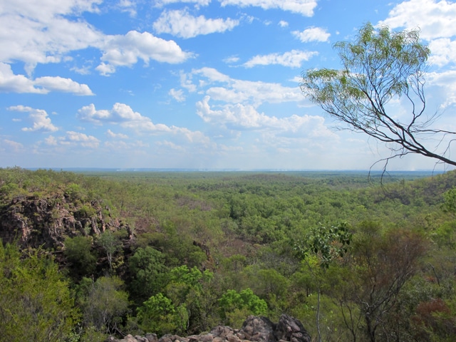 litchfield national park 9
