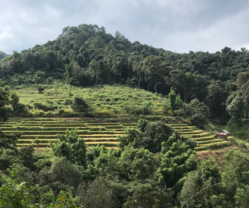 thailand 4