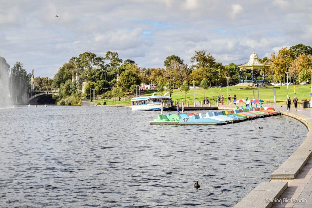 things to do in adelaide 5