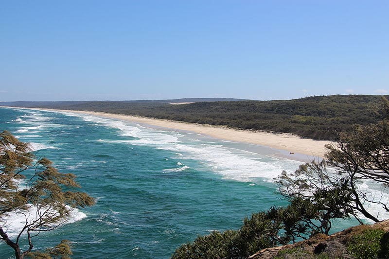 things to do in brisbane 11