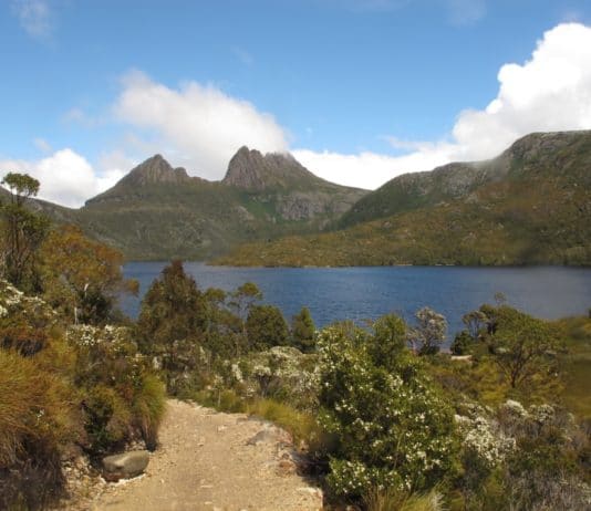 cradle mountain tasmania 4