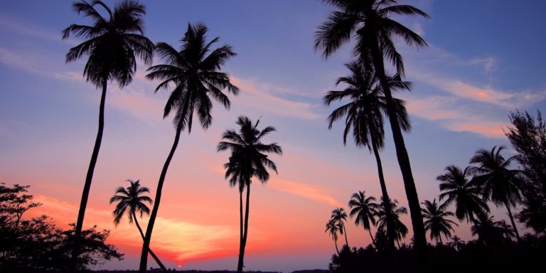 The Perfect 15-day Itinerary: Brisbane to Cairns Road Trip The Perfect 15-day Itinerary: Brisbane to Cairns Road Trip