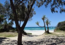 Sydney to Brisbane Drive – Best Road Trip Itinerary