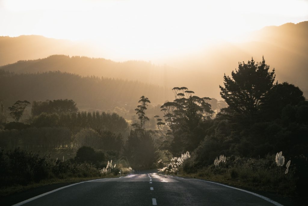 new zealand seasons north island