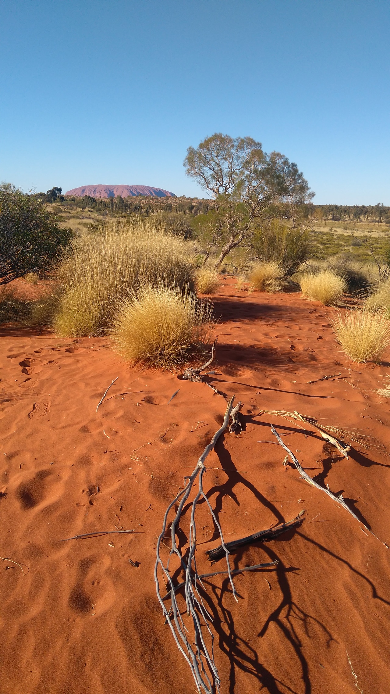 [Letter3 5] Ayers Rock Weather Forecast 14 Days Terms Of Use Terms Of Use - scqf8ta