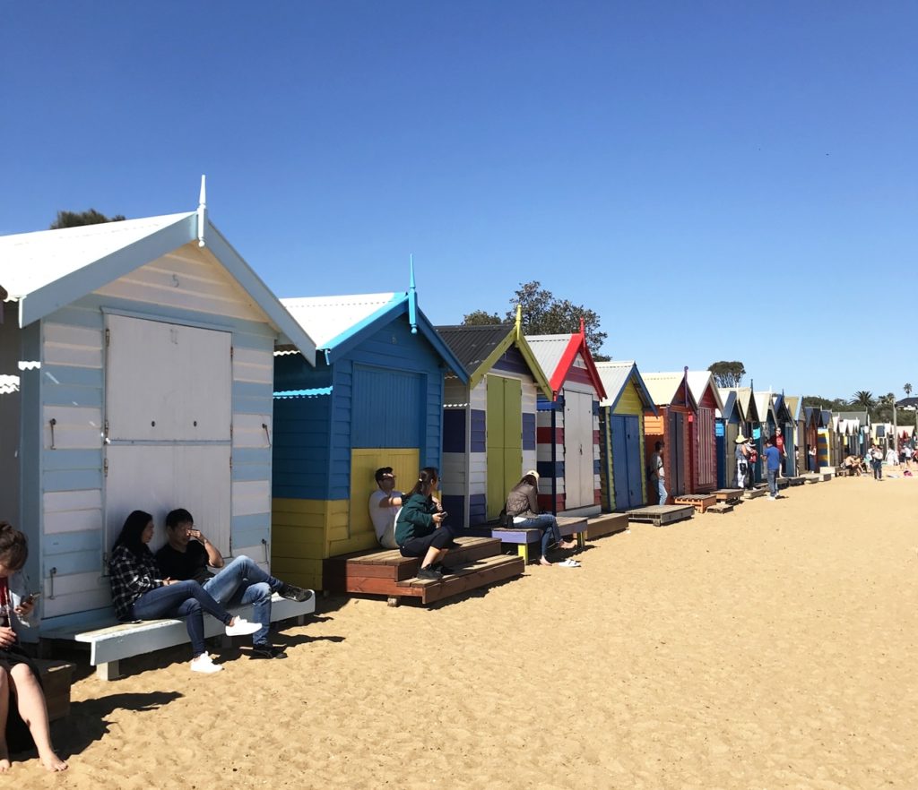brighton beach visit melbourne