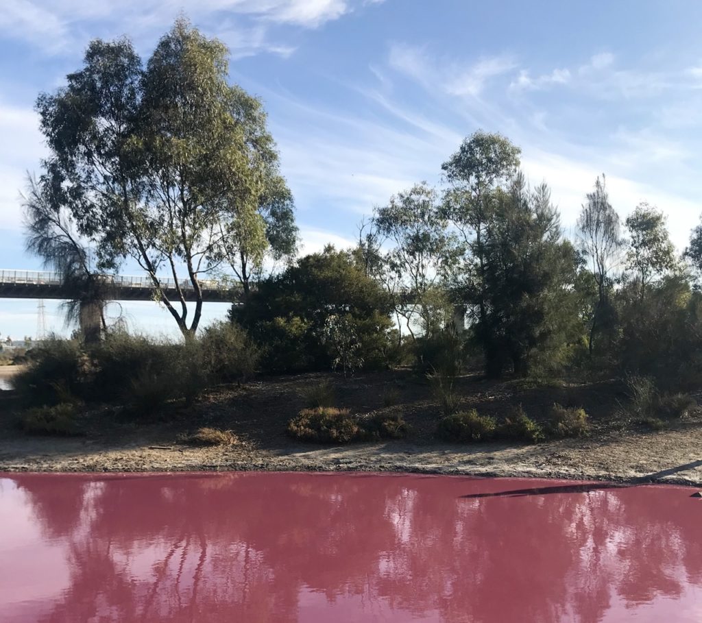 visit melbourne pink lake