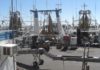 Prawn-vessel job experience
