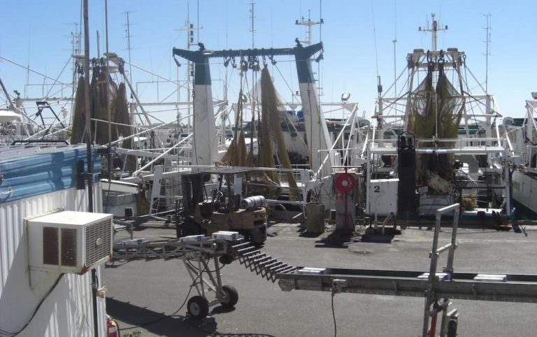Working on a prawn vessel in Australia – Job experience Working on a prawn vessel in Australia – Job experience