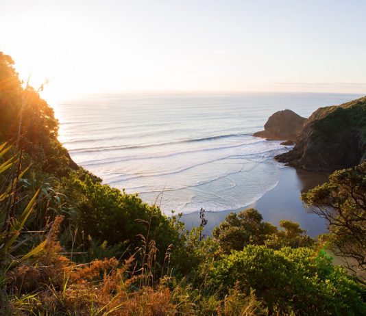 Beaches in New zealand