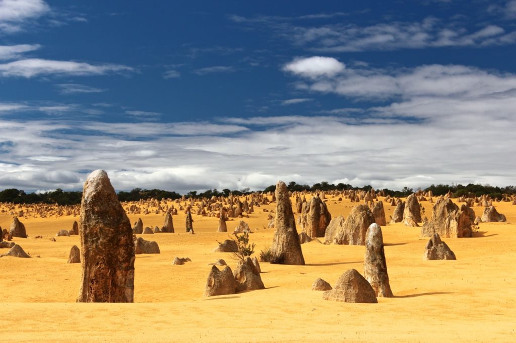 the Pinnacles