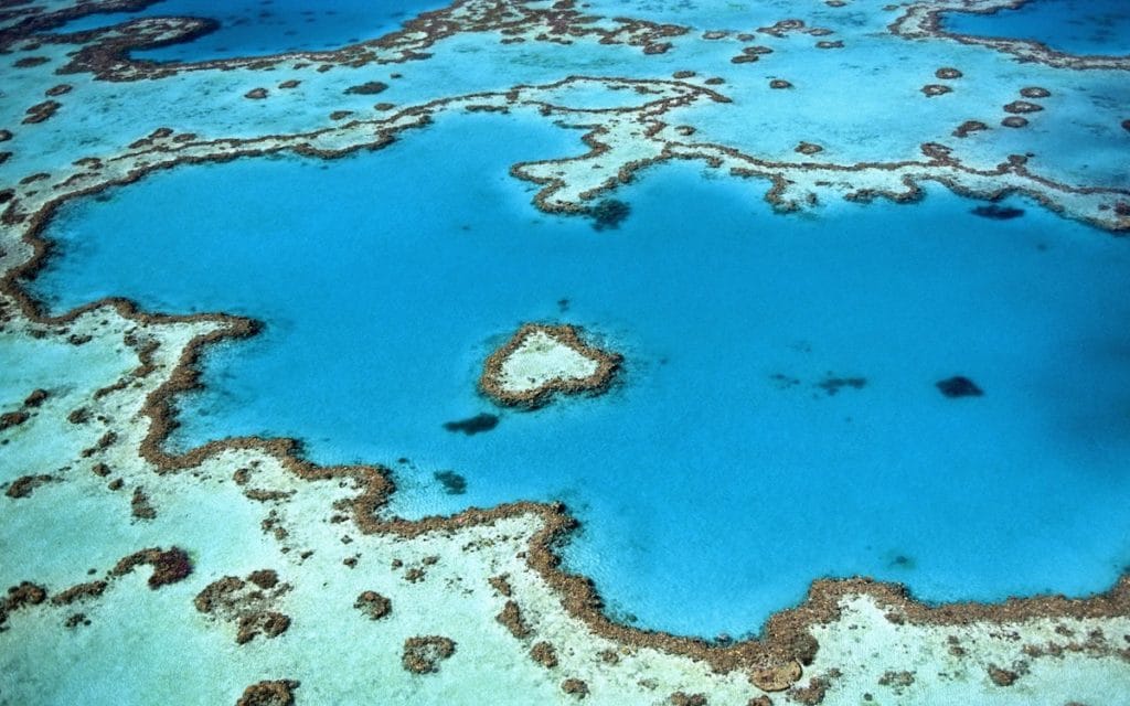 great barrier reef