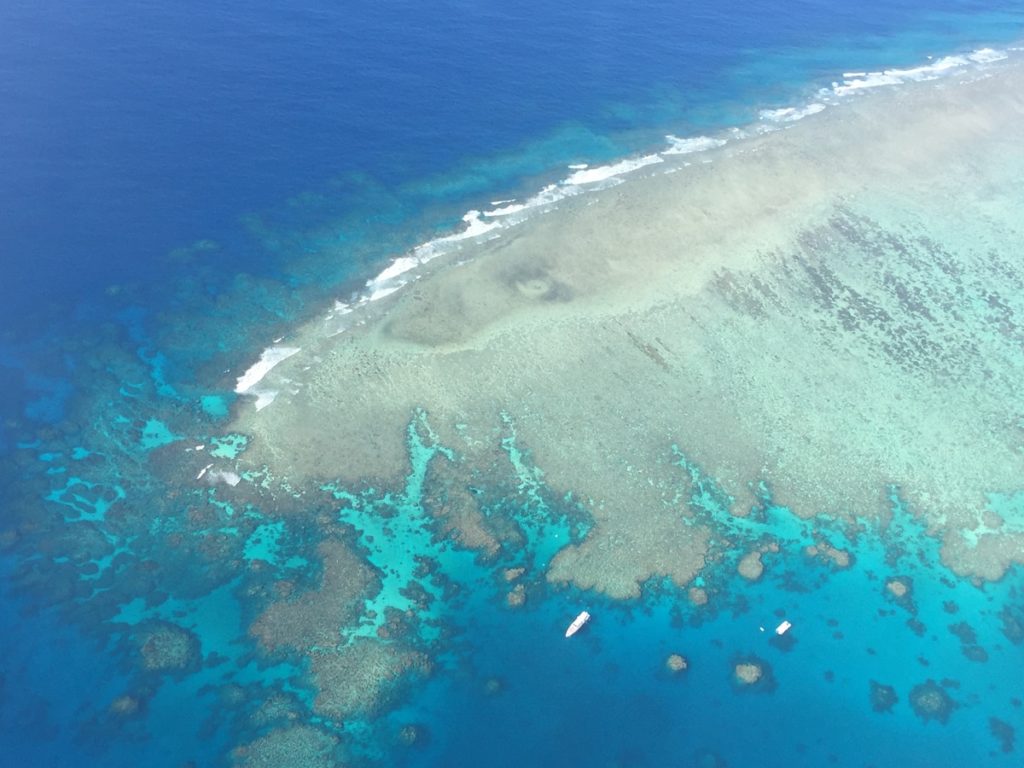 great barrier reef