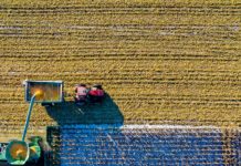 Eligible jobs for a second and third year visa in Australia eligible-jobs-second-year-visa