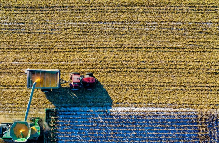 eligible-jobs-second-year-visa