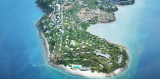 hamilton island bird perspective