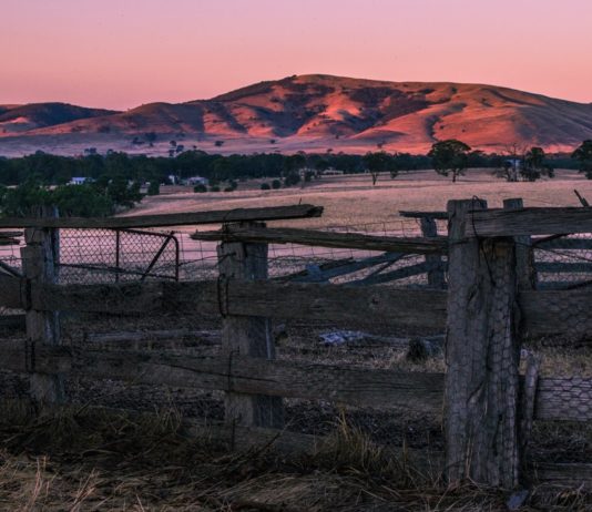 farm work COVID-19