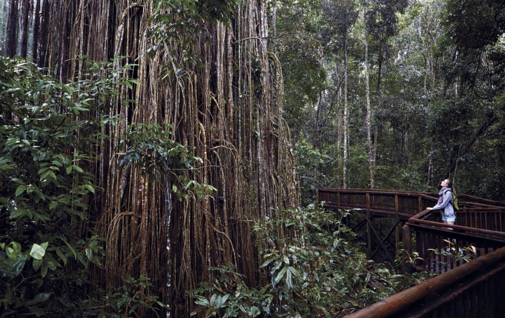 Atherton Tablelands