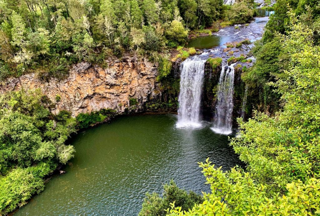 waterfall surrounded by green abondant vegetation in Dorrigo National Park 