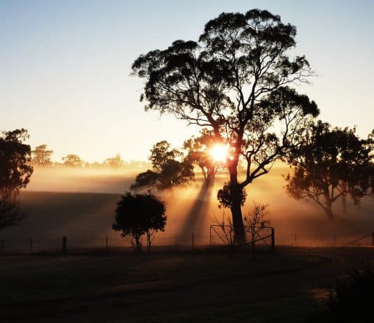 Working in a Roadhouse – An Outback experience
